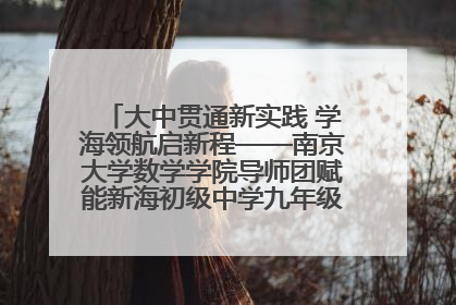 大中贯通新实践 学海领航启新程——南京大学数学学院导师团赋能新海初级中学九年级学子生涯规划