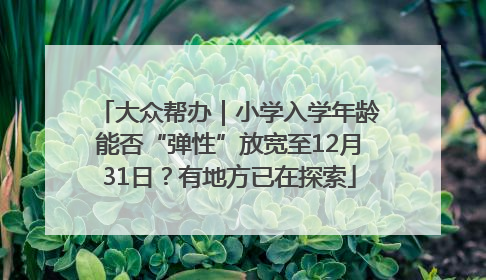 大众帮办｜小学入学年龄能否“弹性”放宽至12月31日？有地方已在探索