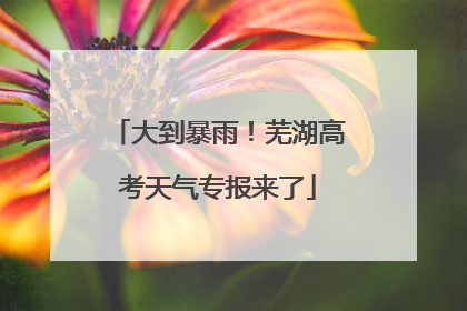 大到暴雨！芜湖高考天气专报来了