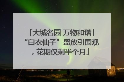 大城名园 万物和谐│“白衣仙子”盛放引围观，花期仅剩半个月