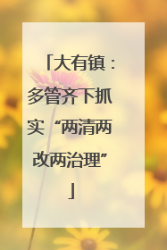 大有镇：多管齐下抓实“两清两改两治理”