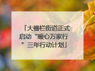 大栅栏街道正式启动“暖心万家行”三年行动计划