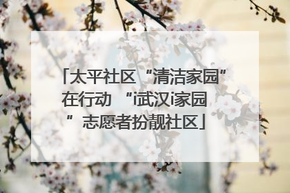 太平社区“清洁家园”在行动 “i武汉i家园”志愿者扮靓社区