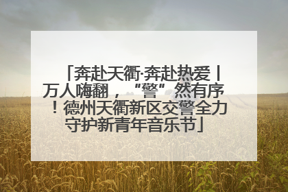 奔赴天衢·奔赴热爱丨万人嗨翻，“警”然有序！德州天衢新区交警全力守护新青年音乐节