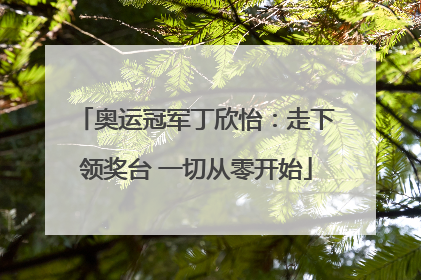 奥运冠军丁欣怡：走下领奖台 一切从零开始
