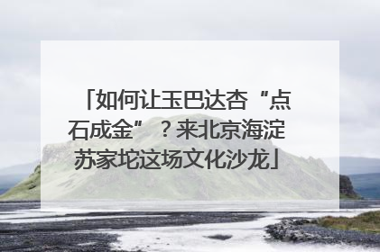 如何让玉巴达杏“点石成金”？来北京海淀苏家坨这场文化沙龙