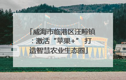 威海市临港区汪疃镇：激活“苹果+” 打造智慧农业生态圈