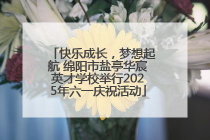 快乐成长，梦想起航 绵阳市盐亭华宸英才学校举行2025年六一庆祝活动