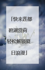 快来莲都碧湖赏荷 轻松解锁夏日浪漫