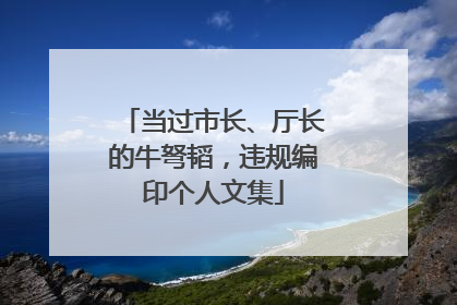 当过市长、厅长的牛弩韬，违规编印个人文集