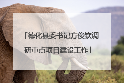 德化县委书记方俊钦调研重点项目建设工作