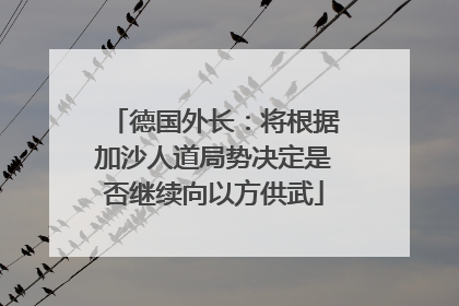 德国外长：将根据加沙人道局势决定是否继续向以方供武