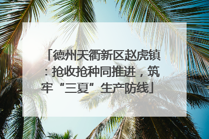 德州天衢新区赵虎镇：抢收抢种同推进，筑牢“三夏”生产防线