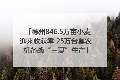 德州846.5万亩小麦迎来收获季 25万台套农机备战“三夏”生产