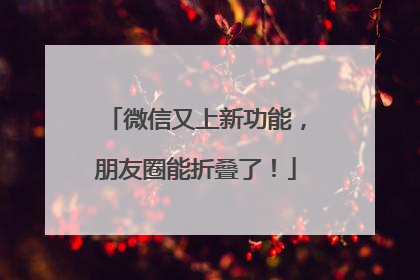 微信又上新功能，朋友圈能折叠了！
