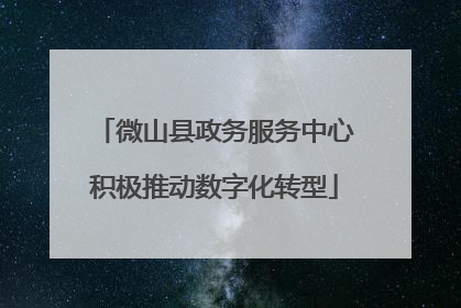 微山县政务服务中心积极推动数字化转型