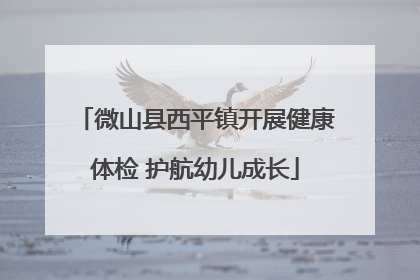 微山县西平镇开展健康体检 护航幼儿成长