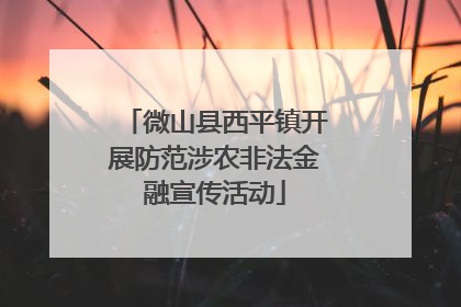 微山县西平镇开展防范涉农非法金融宣传活动