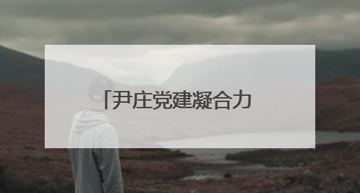 尹庄党建凝合力 联建议事促振兴