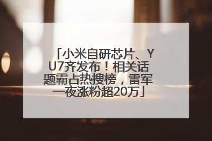 小米自研芯片、YU7齐发布！相关话题霸占热搜榜，雷军一夜涨粉超20万