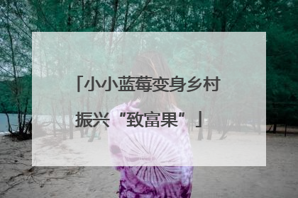 小小蓝莓变身乡村振兴“致富果”