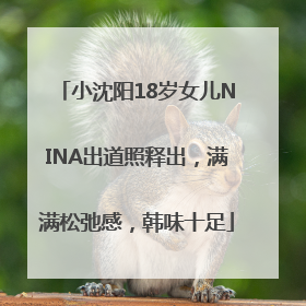 小沈阳18岁女儿NINA出道照释出，满满松弛感，韩味十足