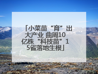 小菜苗“育”出大产业 曲周10亿株“科技苗”15省落地生根