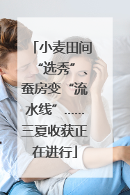 小麦田间“选秀”、蚕房变“流水线”……三夏收获正在进行