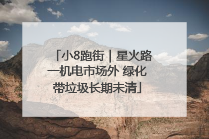 小8跑街｜星火路一机电市场外 绿化带垃圾长期未清
