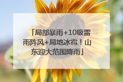 局部暴雨+10级雷雨阵风+局地冰雹！山东迎大范围降雨