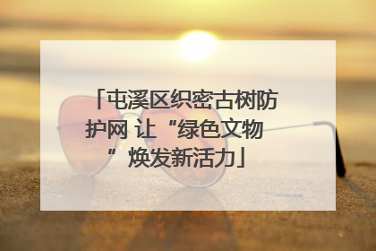 屯溪区织密古树防护网 让“绿色文物”焕发新活力