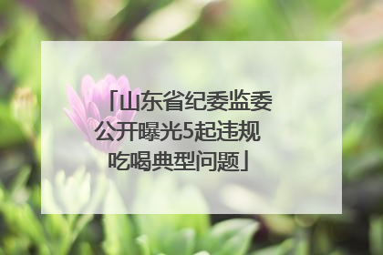 山东省纪委监委公开曝光5起违规吃喝典型问题