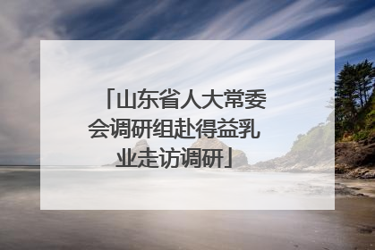 山东省人大常委会调研组赴得益乳业走访调研