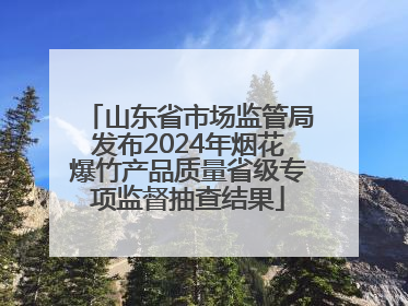 山东省市场监管局发布2024年烟花爆竹产品质量省级专项监督抽查结果