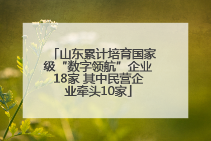 山东累计培育国家级“数字领航”企业18家 其中民营企业牵头10家
