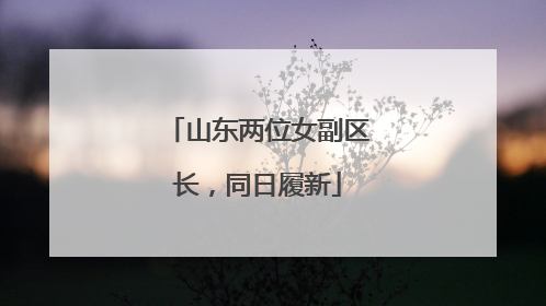 山东两位女副区长，同日履新
