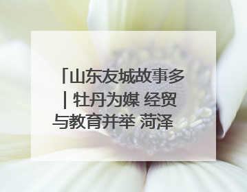 山东友城故事多｜牡丹为媒 经贸与教育并举 菏泽国际“朋友圈”扩容升级