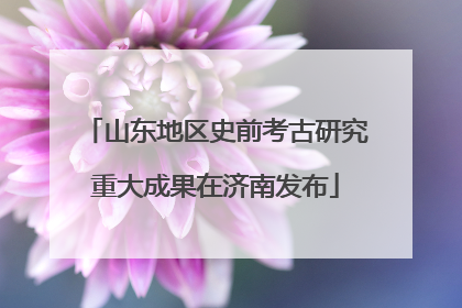 山东地区史前考古研究重大成果在济南发布