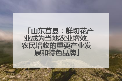 山东莒县：鲜切花产业成为当地农业增效、农民增收的重要产业发展和特色品牌