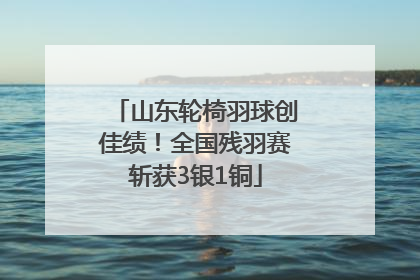 山东轮椅羽球创佳绩！全国残羽赛斩获3银1铜