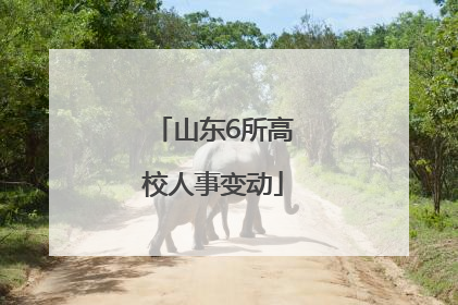 山东6所高校人事变动