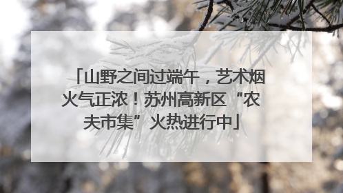 山野之间过端午，艺术烟火气正浓！苏州高新区“农夫市集”火热进行中