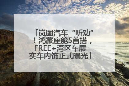 岚图汽车“听劝”！鸿蒙座舱5首搭，FREE+湾区车展实车内饰正式曝光