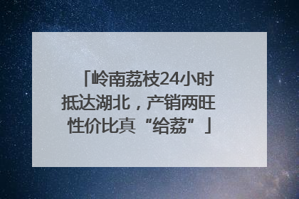 岭南荔枝24小时抵达湖北，产销两旺性价比真“给荔”