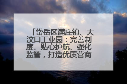 岱岳区满庄镇、大汶口工业园：完善制度、贴心护航、强化监管，打造优质营商“强磁场”