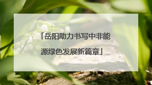 岳阳助力书写中非能源绿色发展新篇章