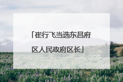 崔行飞当选东昌府区人民政府区长