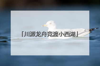 川派龙舟竞渡小西湖