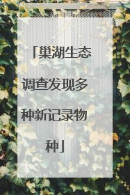 巢湖生态调查发现多种新记录物种
