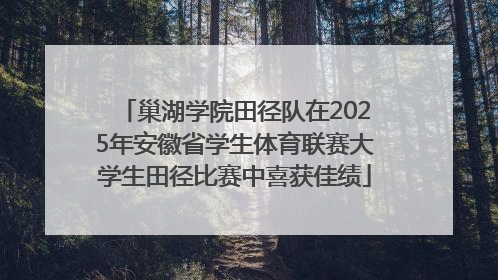 巢湖学院田径队在2025年安徽省学生体育联赛大学生田径比赛中喜获佳绩